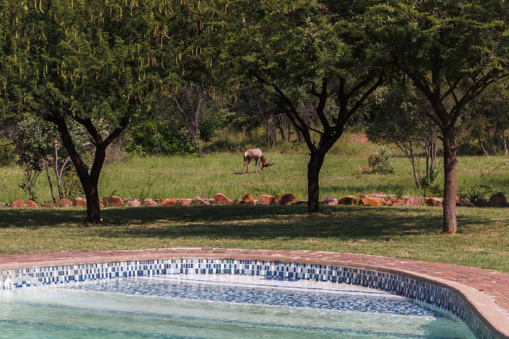 Birdsong Cottages Modimolle Ngoại thất bức ảnh